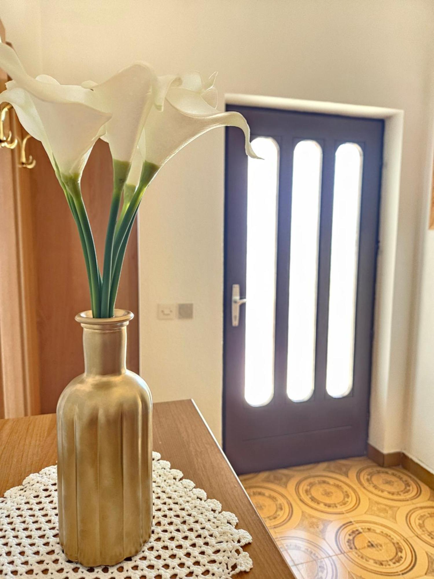 Apartments Brkulj 马卡尔斯卡 外观 照片